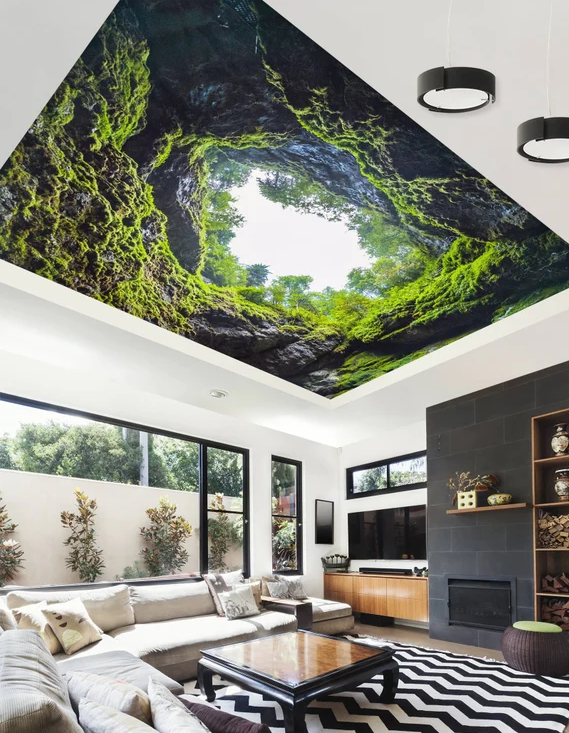 Spanndecke mit Natur-Motiv im Wohnzimmer