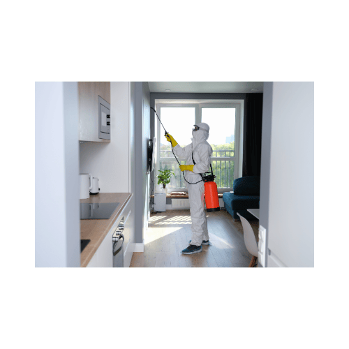 désinsectisation haute-savoie, genève, annemasse, bonneville, cluses