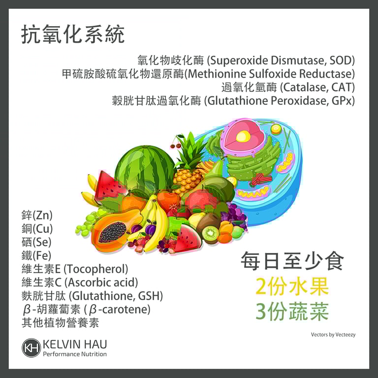 different antioxident system