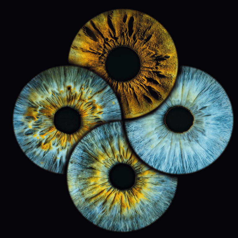 a-eye gallery