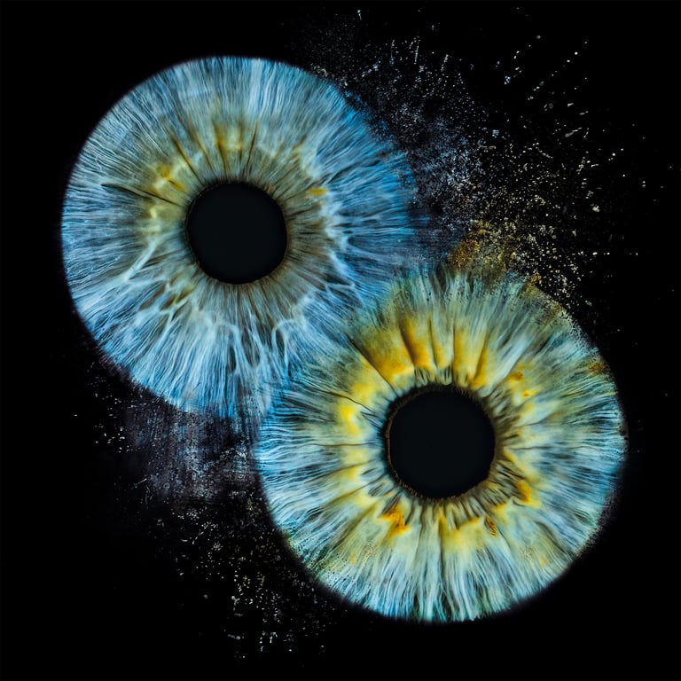 a-eye gallery