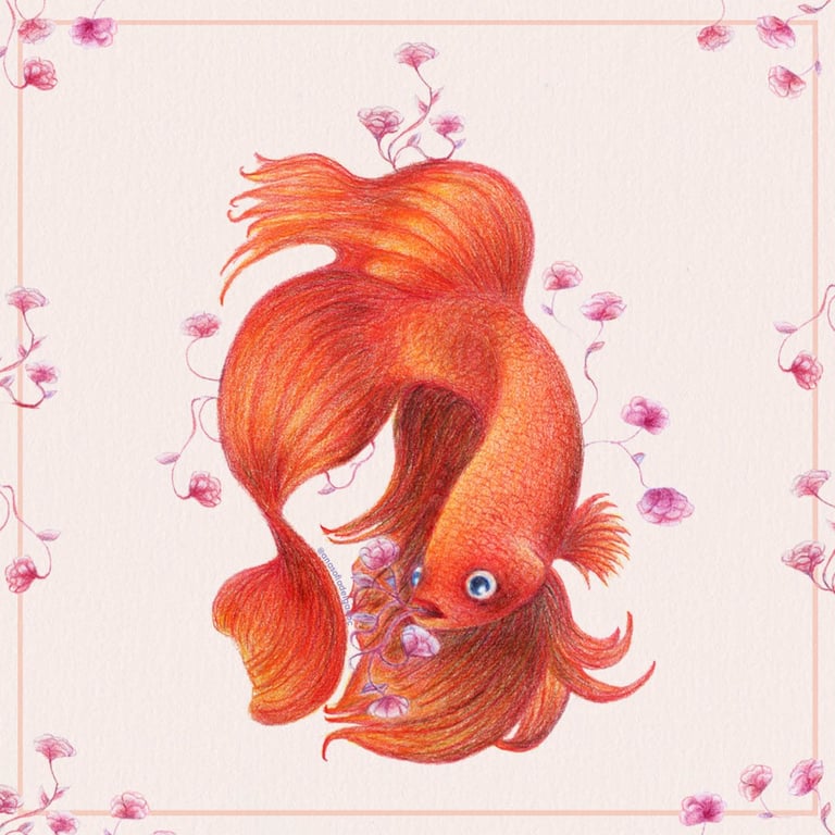 Ilustración pez rojo