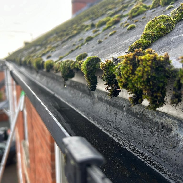 empty gutter clear