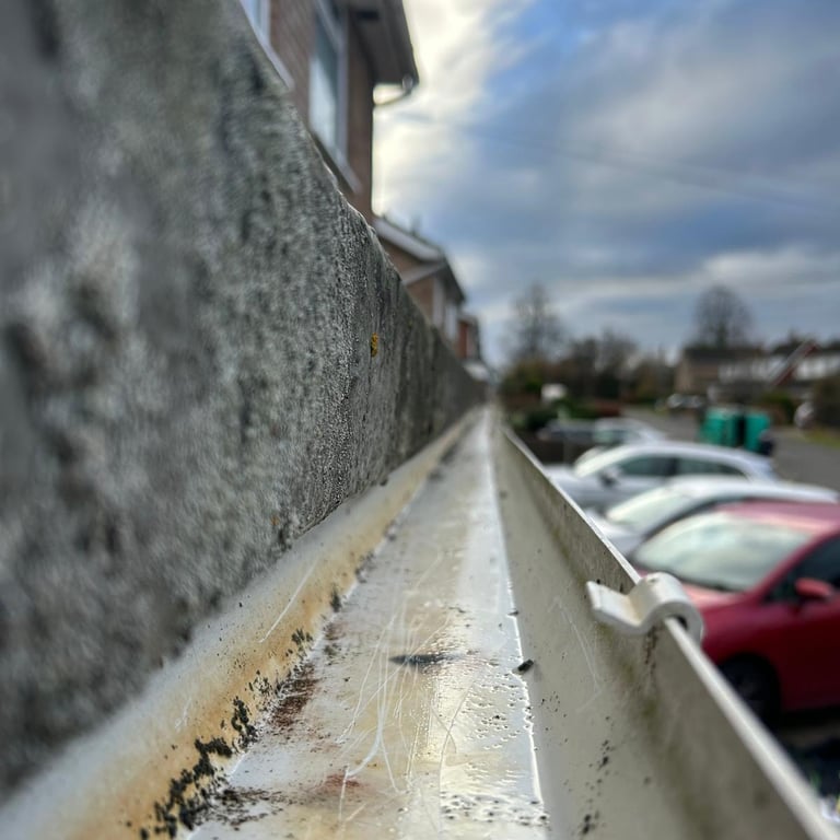 clean gutter