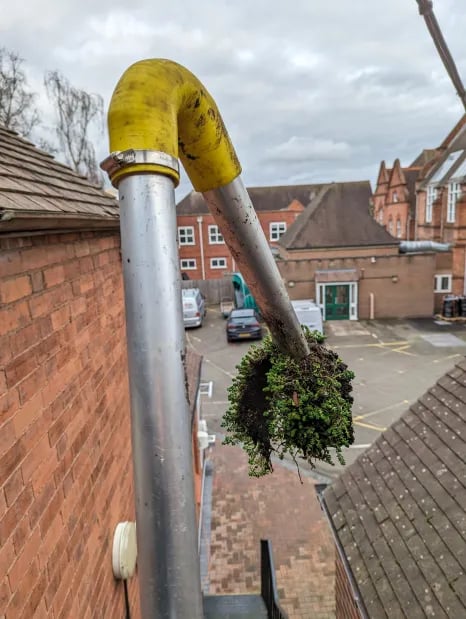 moss pulled from gutter