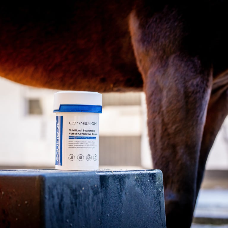 Horse standing by mounting block with a horse supplement