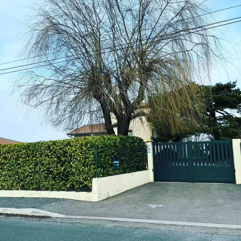 haie espace vert