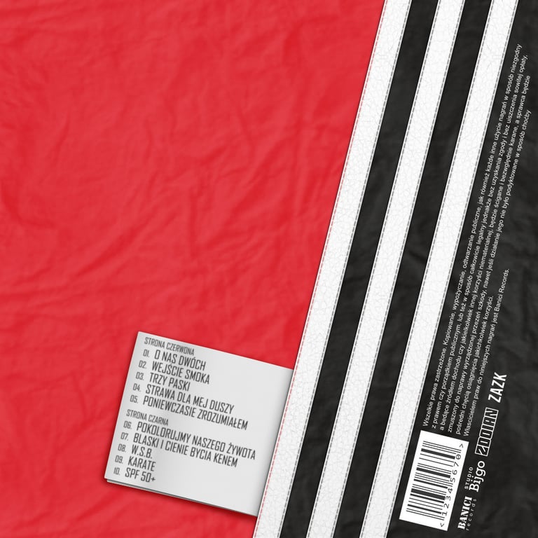 Album cover design back side