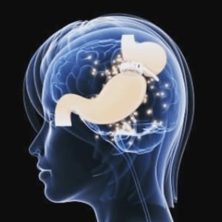 minceur regime poids estomac gastrique