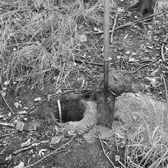 Cortney Stevenson, Wetland & Soil Scientist, Flycatcher LLC