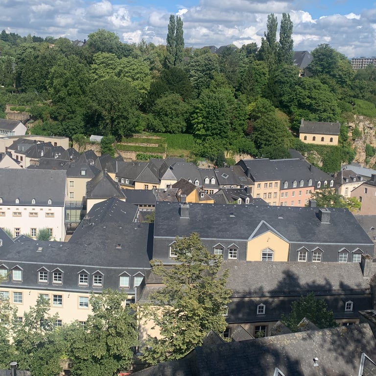 Sable Gold ebony escort Luxembourg City