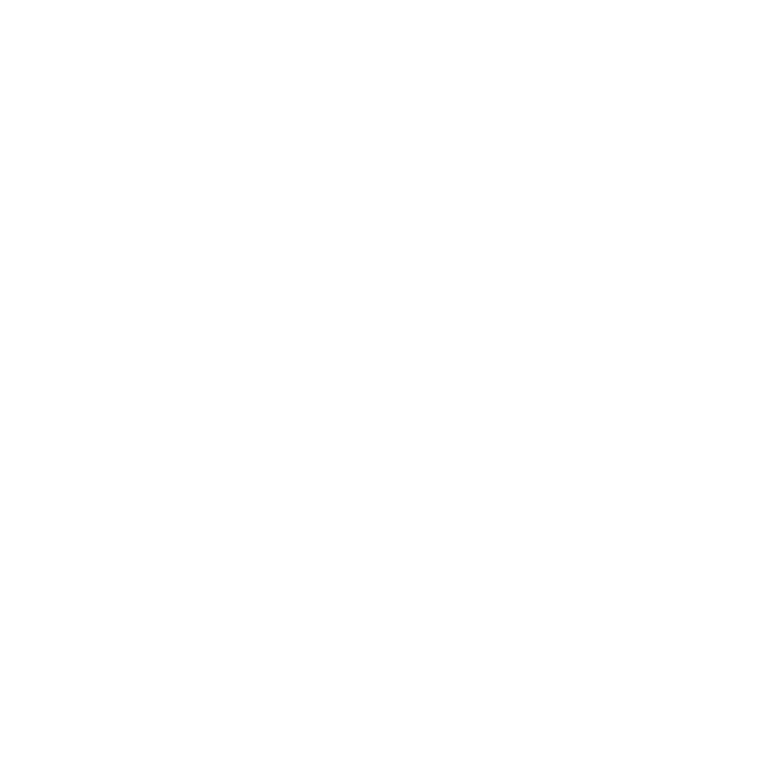 LION WORK GROUP