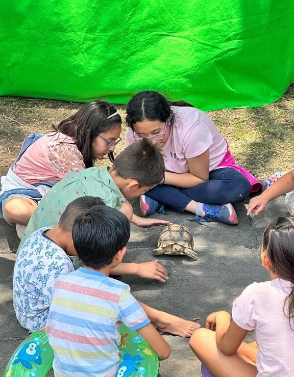 Niño feliz cargando tortuga africana sulcata en show de reptiles para fiestas infantiles CDMX