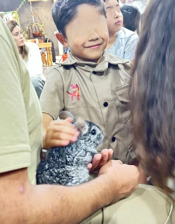 Animador experto mostrando Chinchilla Argentina en fiesta infantil educativa CDMX – Ecozooo Party