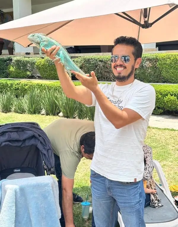 show de reptiles para niños cdmx