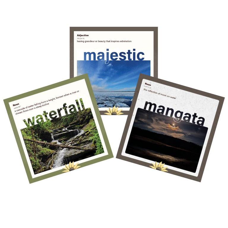 visual dictionary of the natural world