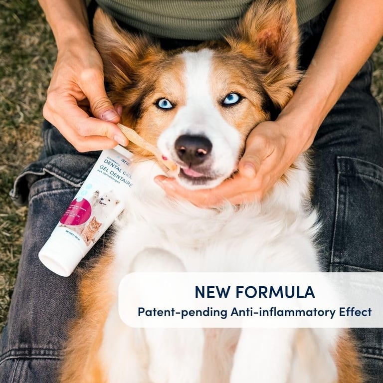 Animora Cranberry Dental Gel (90ml), New Formula, Toothpaste for Dogs and Cats, Improves Oral Health
