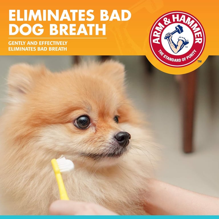 Arm & Hammer Dog Dental Care Fresh Breath Enzymatic Toothpaste for Dogs | No More Doggie Breath