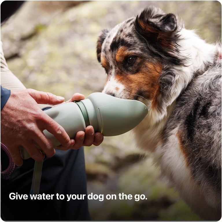 (A Canadian Company) Säker Portable Dog Water Bottle, Collapsible Water Bottle for Dogs