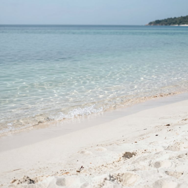A pristine lakefront beach area after professional cleaning, showing clear water and white sand.
