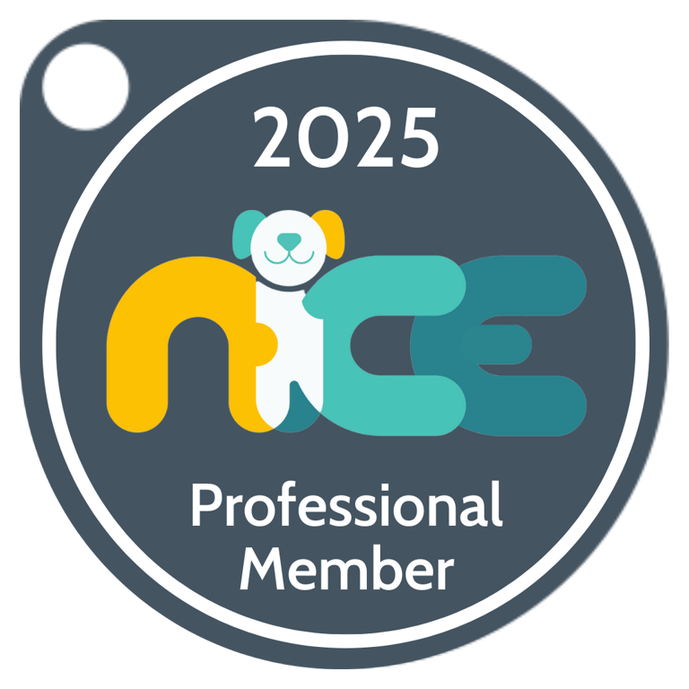 Nice professional membership badge 2025