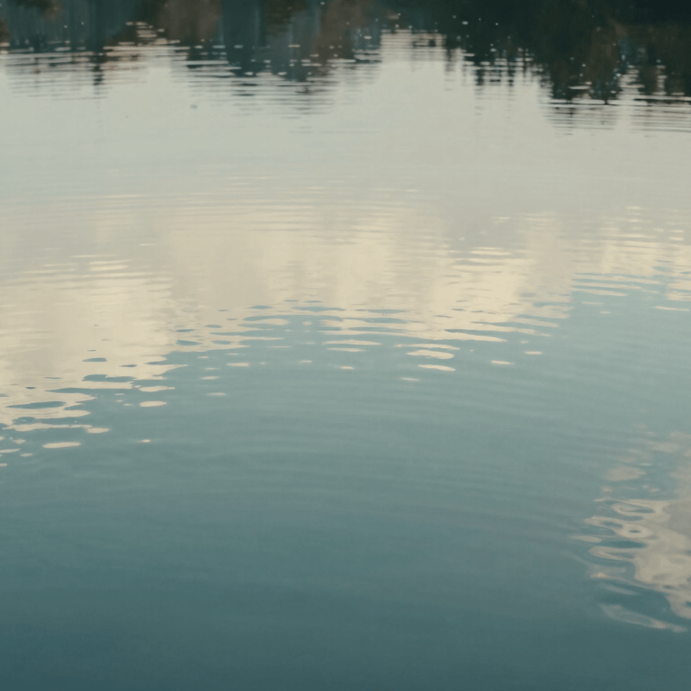 A peaceful indoor plant with green leaves against a crisp snow white wall in a sunlit therapy room.