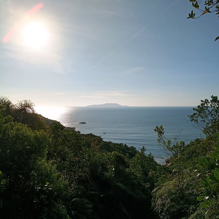 Vista ao fundo da ilha do Arvoredo