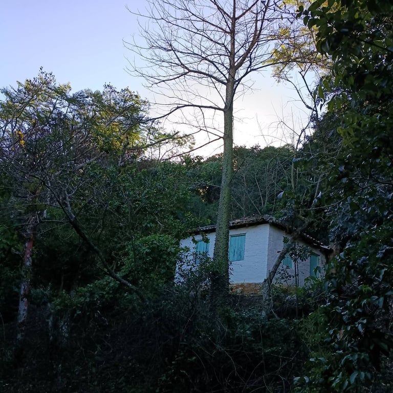 Casa típica em naufragados 