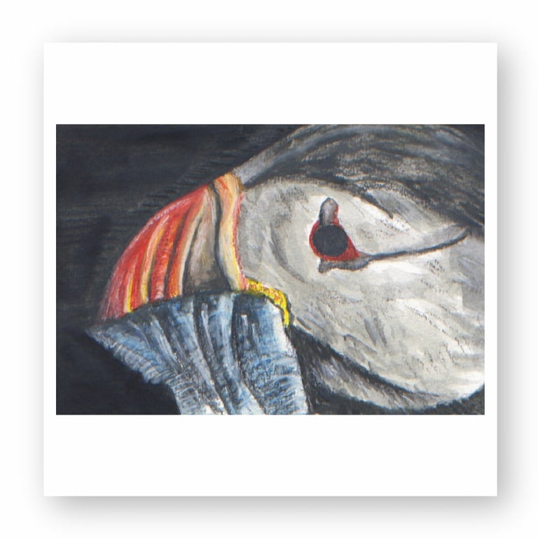 Watercolor painting of an Atlantic Puffin's head featuring a colorful orange beak and black eye.
