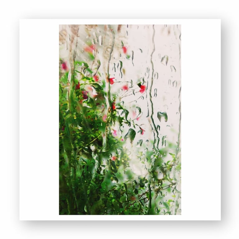 Rain-streaked window with green foliage and vibrant red flowers visible through the wet glass, showcasing a natural, serene