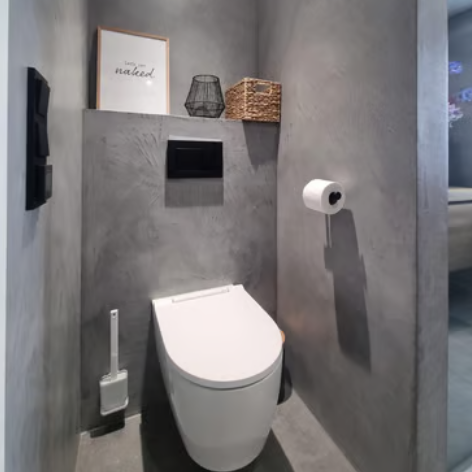 Modern minimalist bathroom featuring a white toilet against grey microcement walls with decorative accents.