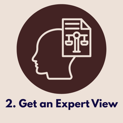 2. Get an Expert View