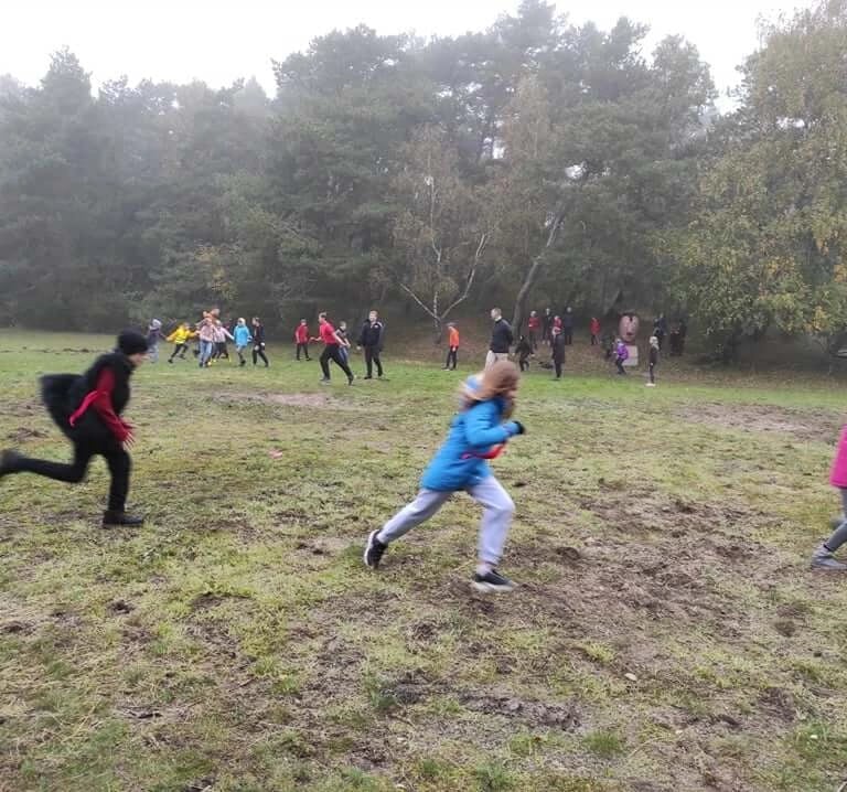 Mykolinių žaidimas