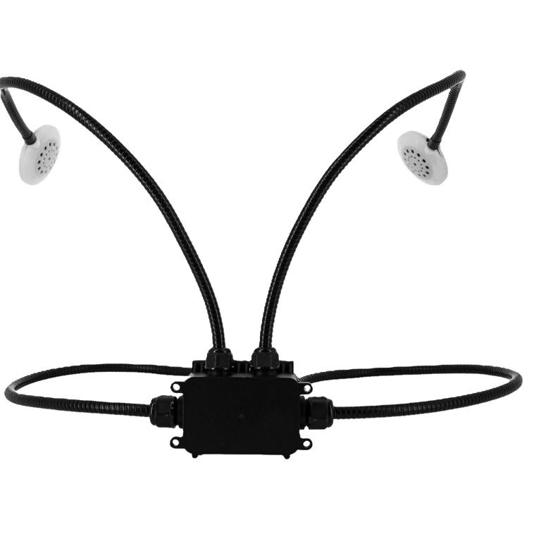 Audiva d'Eulabie col de cygnz