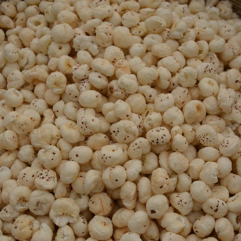 Premium Phool Makhana Fox Nuts bulk wholesale supplier India