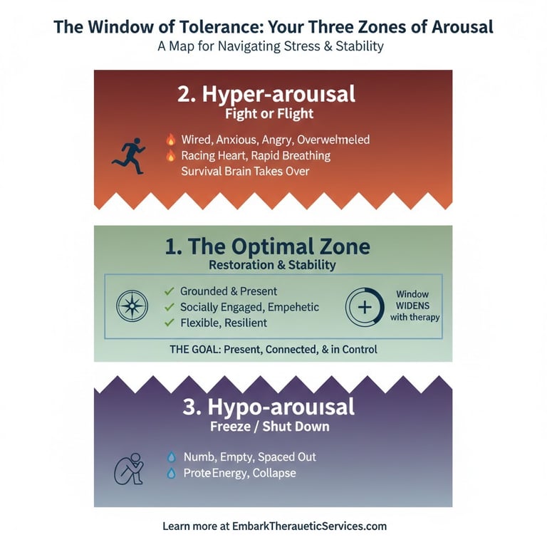 Diagram showing Window of Tolerance and 3 Zones of Arousal
