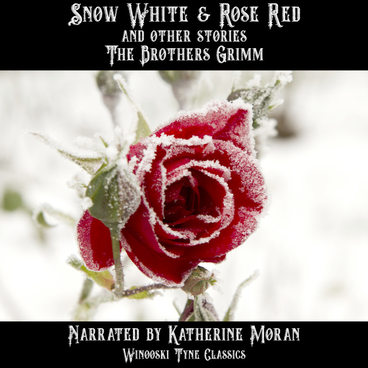 Snow White & Rose Red audiobook cover - a rose in the snow with a snow covered background