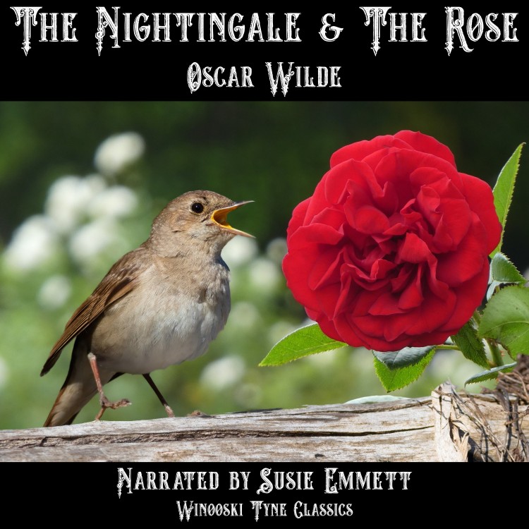 The Nightingale and the Rose audiobook cover - a bird perched on a wooden fence post with a red rose