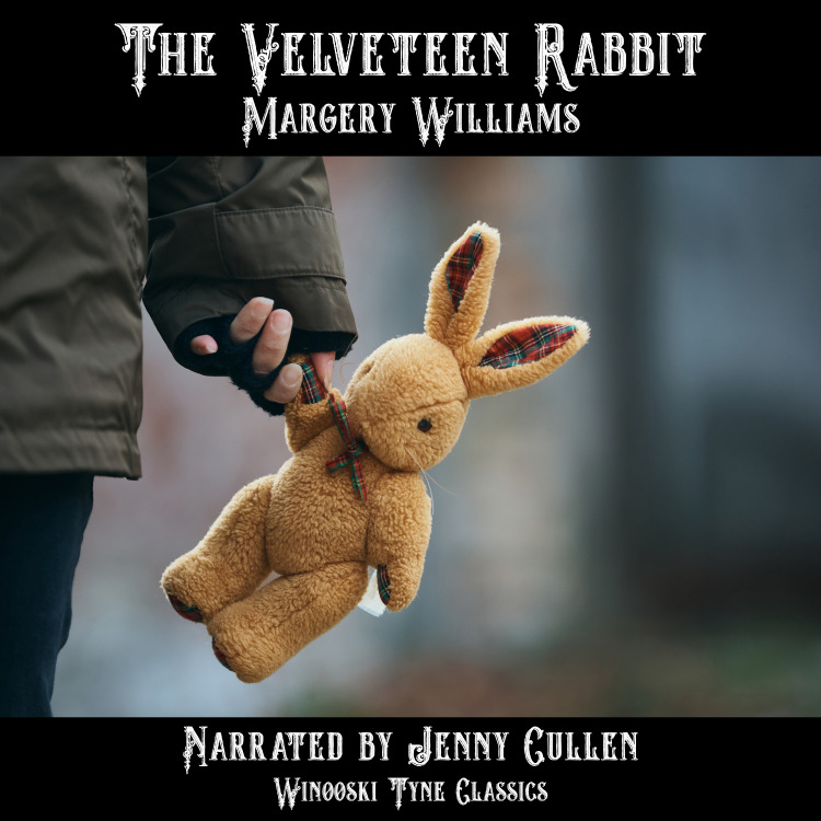 The Velveteen Rabbit audiobook cover - a person holding a stuffed animal in their hands