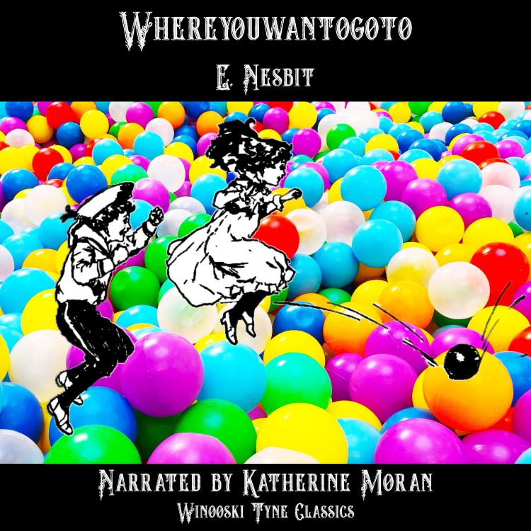 Whereyouwantogoto audiobook