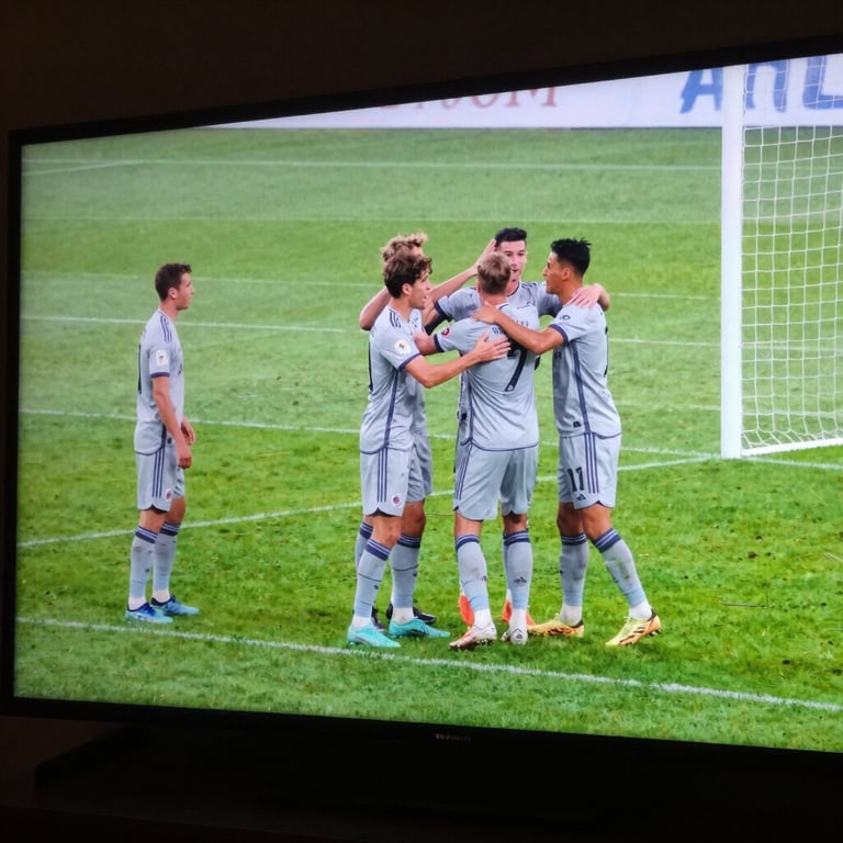 A sharp photograph of a football match being broadcasted on a screen, capturing a goal celebration with vibrant green grass and pale mist gray jersey details.