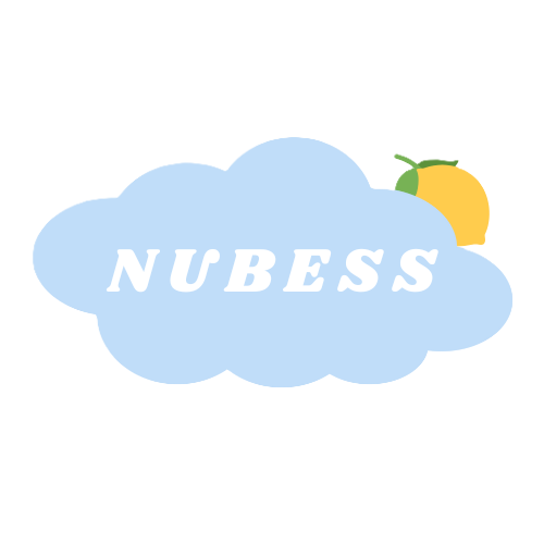 logo nubess sans fond