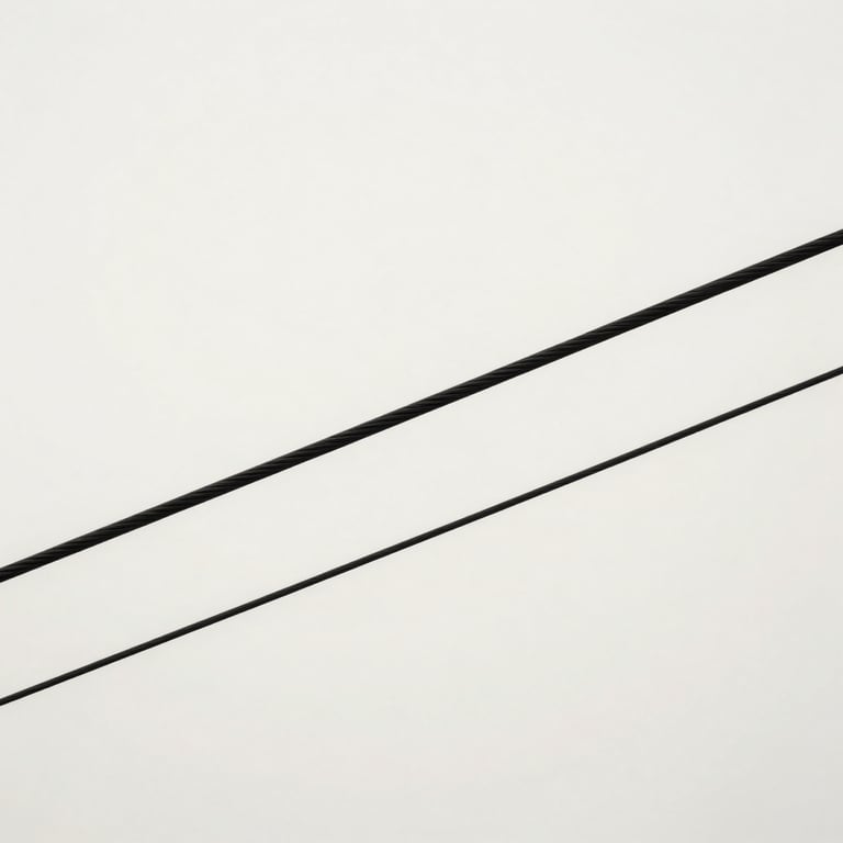Abstract composition of intersecting black steel cables against a clean off-white #F5F5F5 wall.