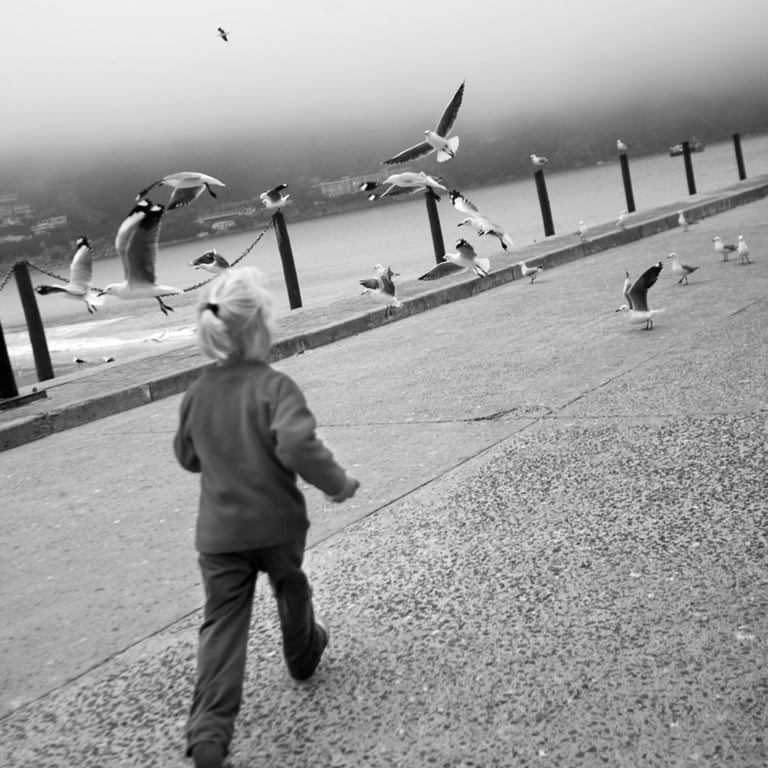 Young child running after seagulls along a misty harbour promenade, black-and-white fine art photography.