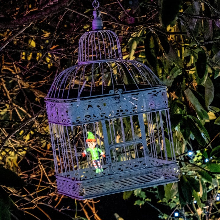 Luminate A captured Pixie