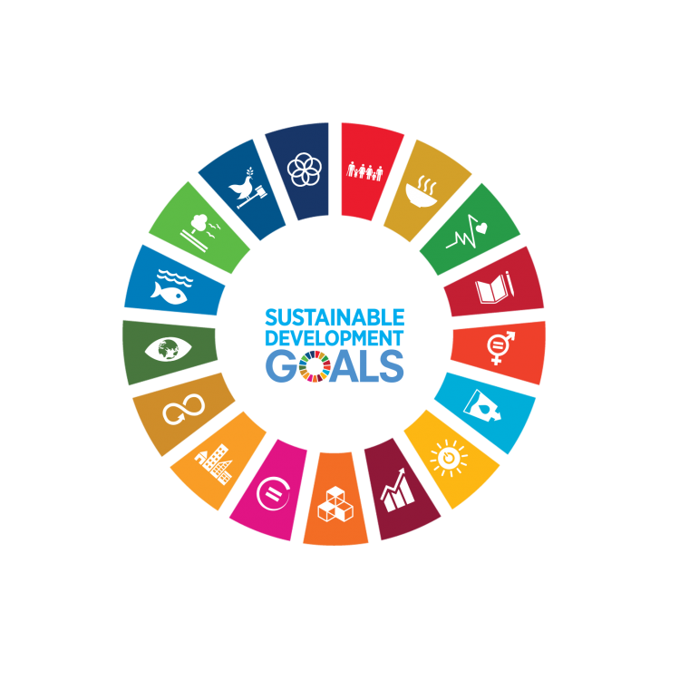sustainability_development_goals_wheel