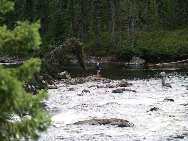 fly fishing in a river 