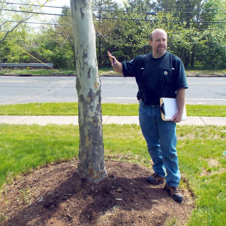 Christian Plunkett Consulting Arborist