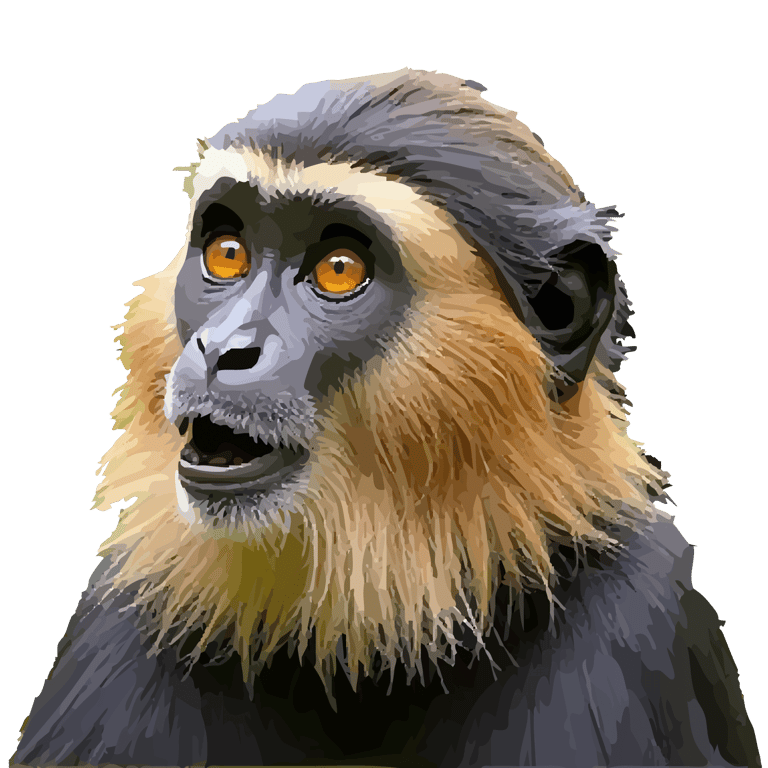 Graphic art print of a golden monkey with striking orange eyes, derived from original wildlife photography in Rwanda.