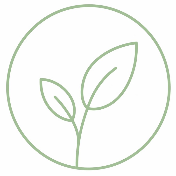 Esplora le Ricette Vegane